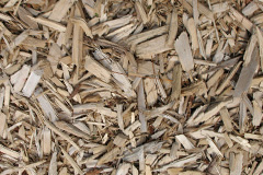 biomass boilers Angle